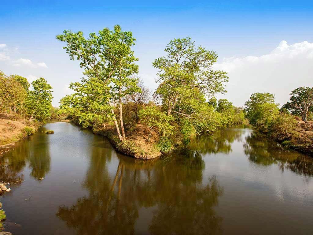 the baagh a forest retreat