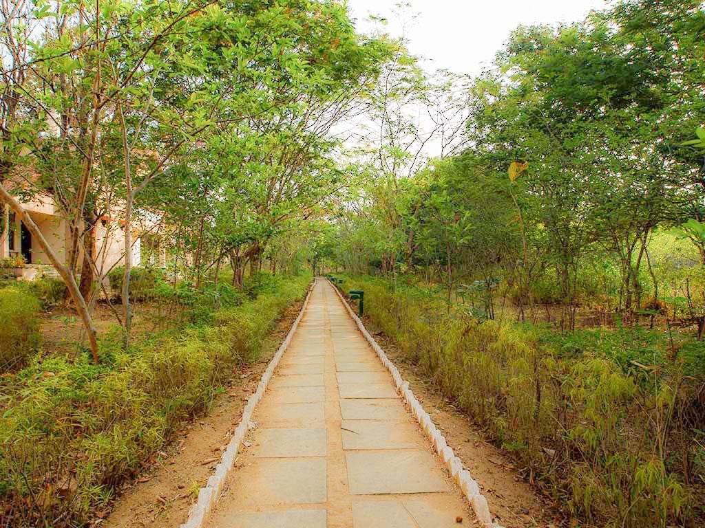 the baagh a forest retreat