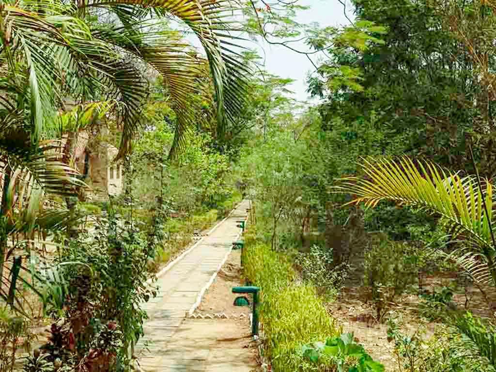 the baagh a forest retreat