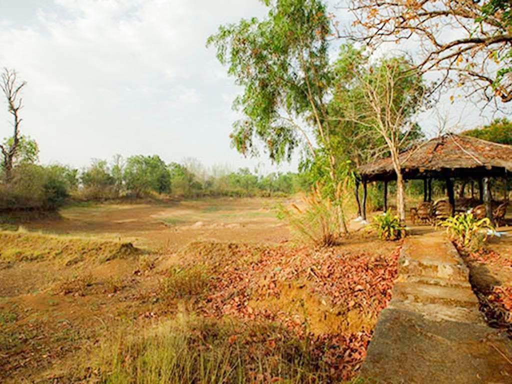the baagh a forest retreat