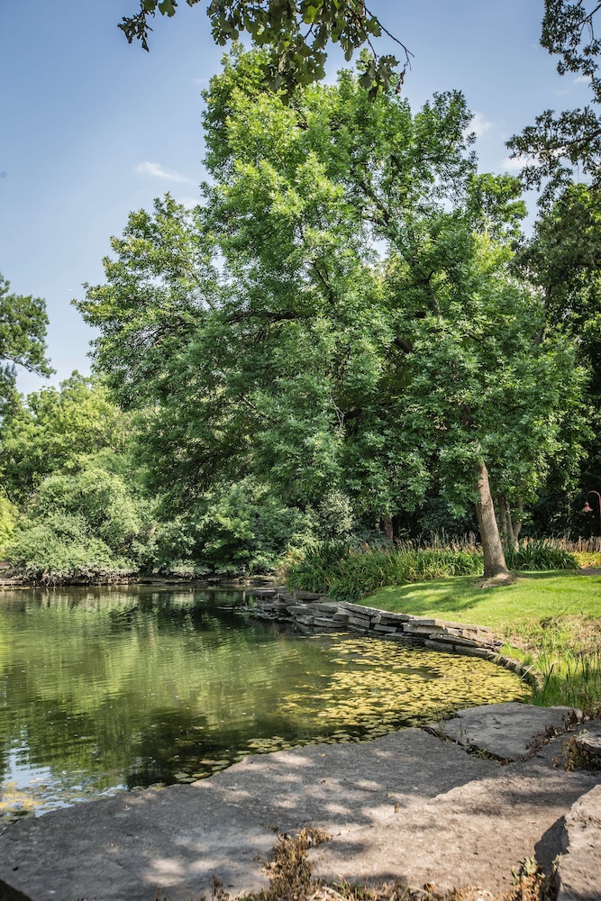 hyatt lodge oak brook chicago