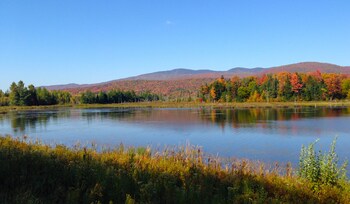 phineas swann inn and spa