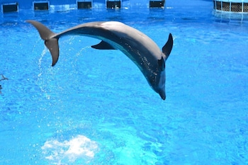 holiday lodge and suites fort walton beach