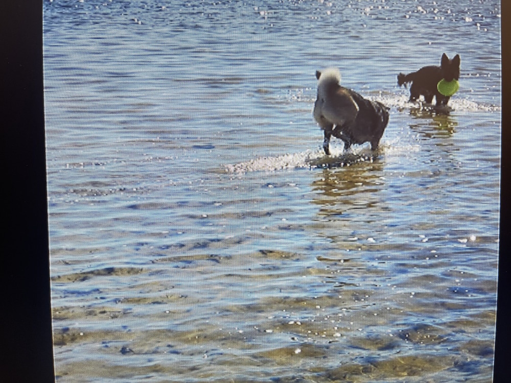 holiday lodge and suites fort walton beach