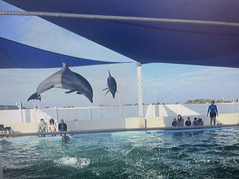 holiday lodge and suites fort walton beach