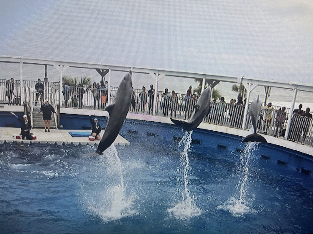 holiday lodge and suites fort walton beach