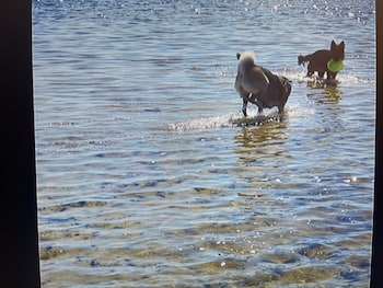 holiday lodge and suites fort walton beach