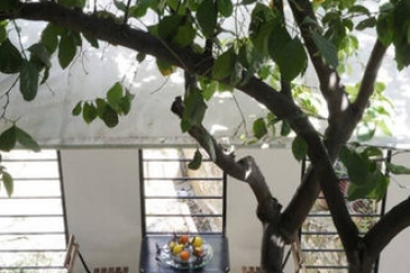 athens green apartments