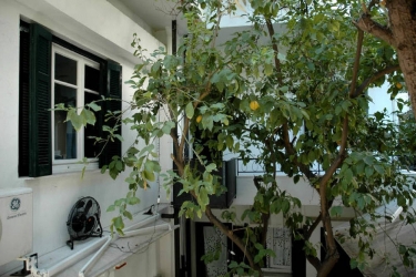 athens green apartments