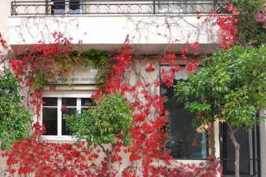 athens green apartments