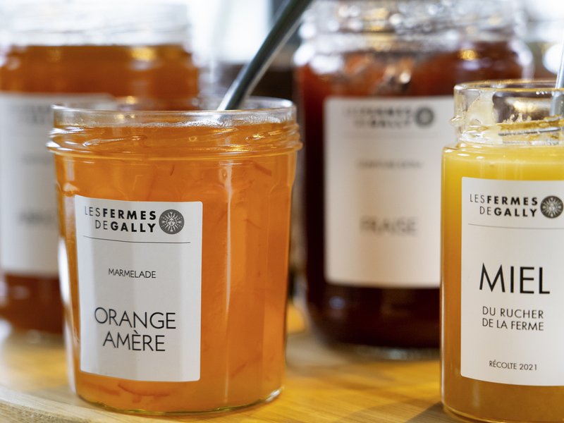 ibis styles versailles saint quentin en yvelines