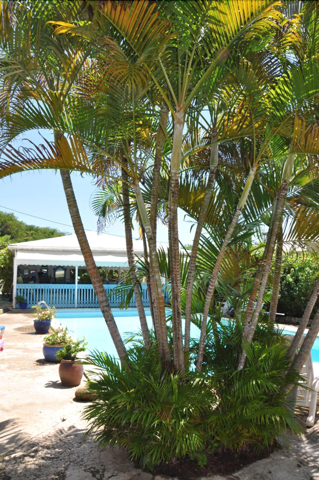 cap sud caraibes