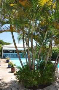 cap sud caraibes