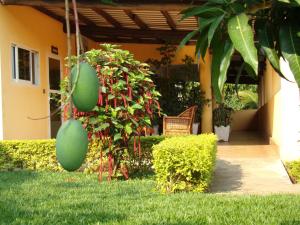 Aparthotel Jardin Tropical,Bujumbura Mairie Province>>Bujumbura,4 star
