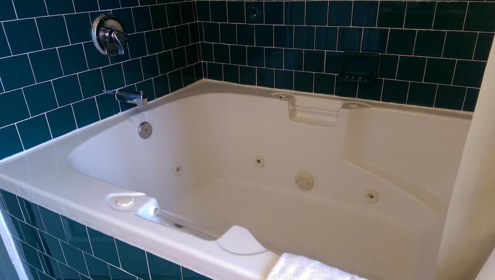 holland inn and suites