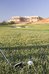 amendoeira golf resort apartments and villas