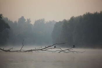 Apartments Vrata Baranje,Osijek>>Bilje,3 star