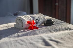 hotel san pedro de majagua