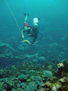 hotel san pedro de majagua