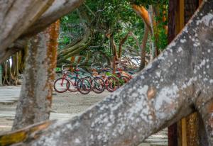 hotel san pedro de majagua