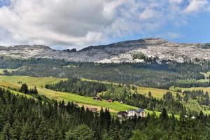hotel rischli