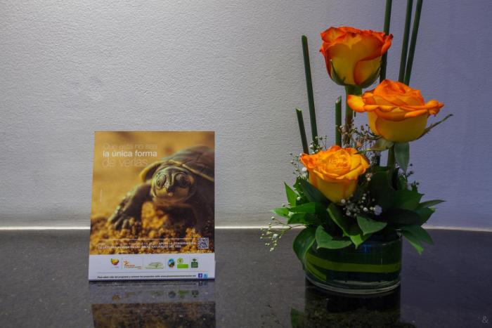 faranda express belvedere