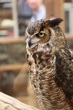 Courtyard By Marriott Mobile Daphne/Eastern Shore,Spanish Fort>>Mobile,3 star