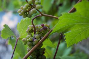t oud gemeentehuis poelkapelle