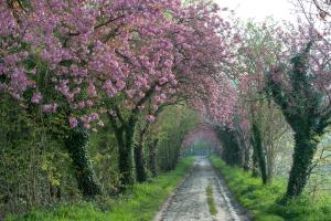 B&B Baron's House Neerijse - Leuven,Brussels>>Belgium,4 star