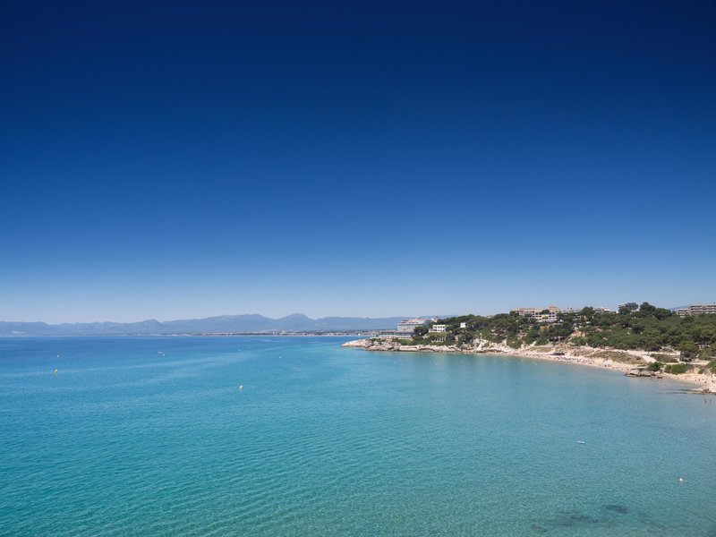 htop molinos park