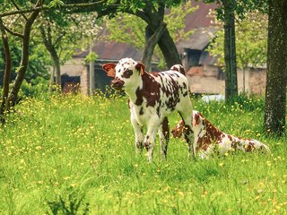 ibis bayeux port en bessin