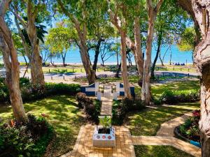 palm cove
