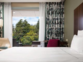 swissotel resort sochi kamelia
