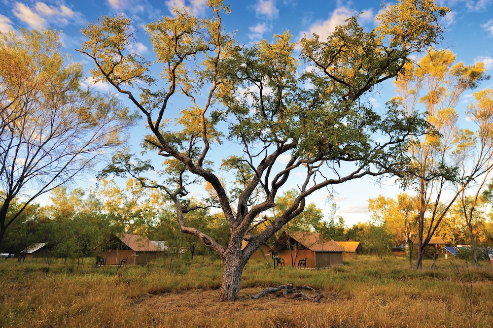 bungle bungle wilderness lodge
