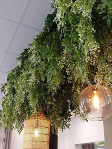 ibis ciboure st jean de luz hotel