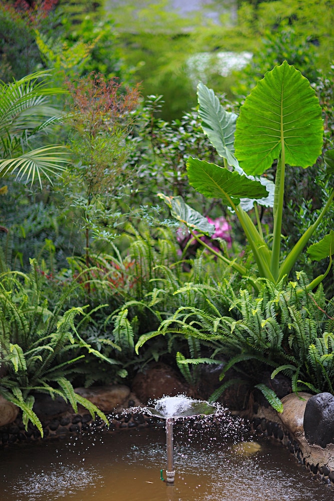 china old story inns dali ancient town