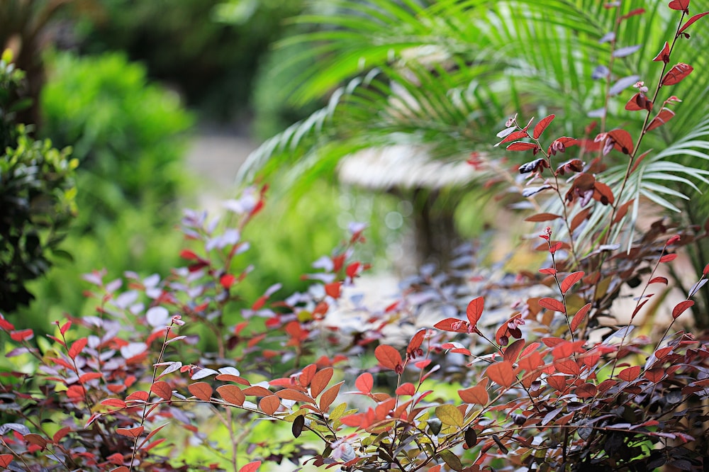 china old story inns dali ancient town