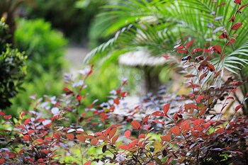 china old story inns dali ancient town