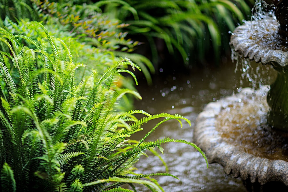 china old story inns dali ancient town