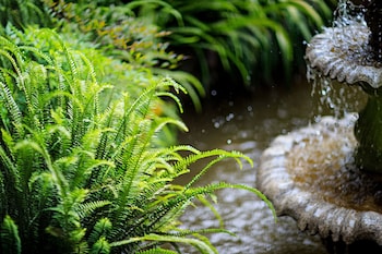 china old story inns dali ancient town