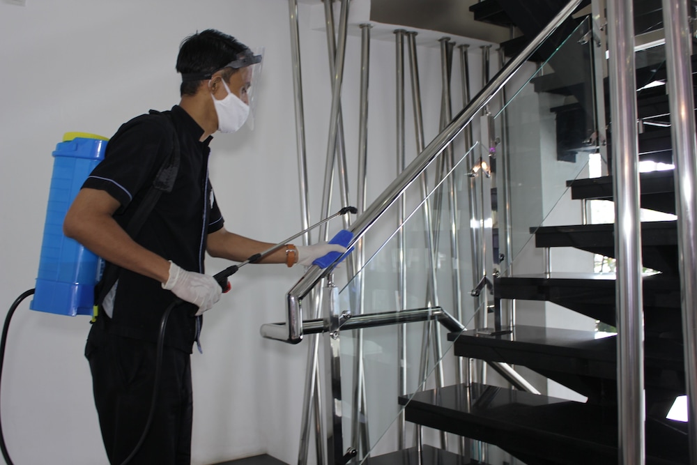 oak tree urban jakarta