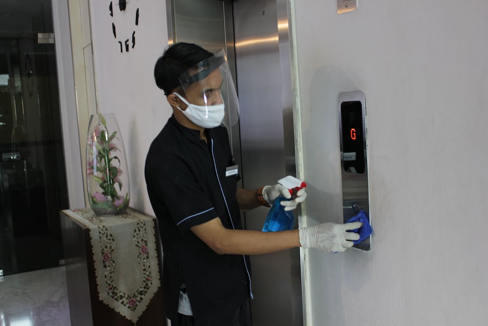 oak tree urban jakarta