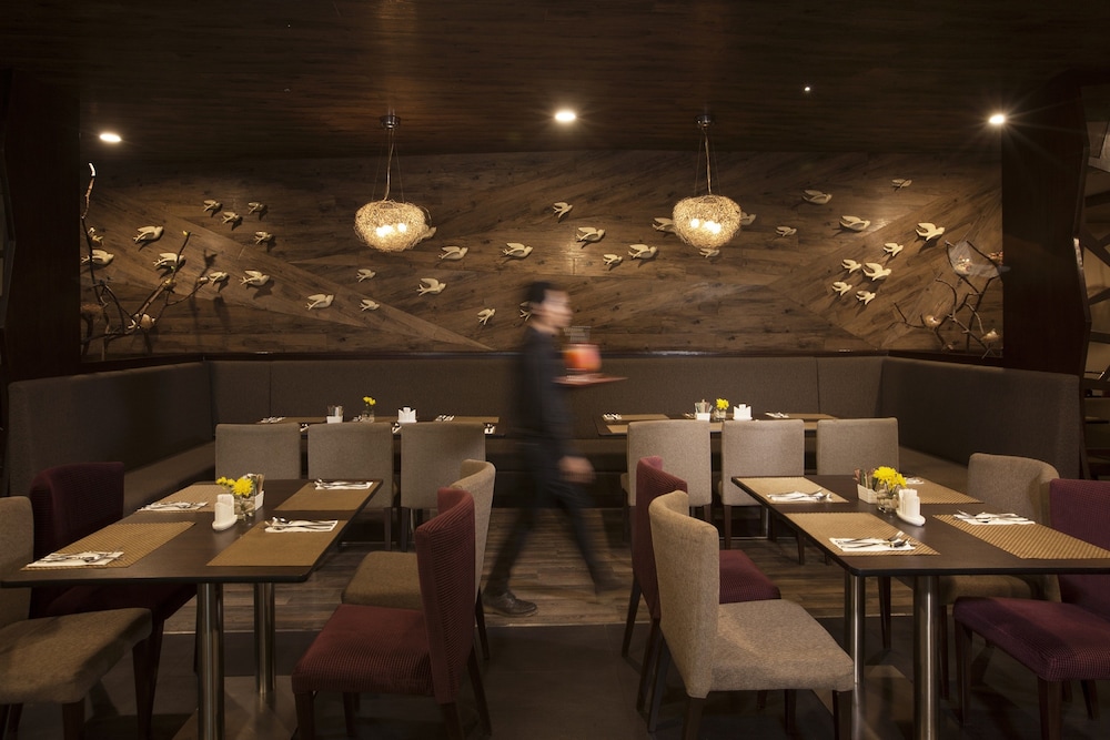 oak tree urban jakarta