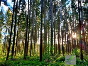 Dekra Congresshotel Wart,Baden-Baden>>Altensteig,3 star