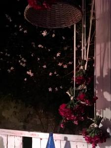 hotel convento tarifa