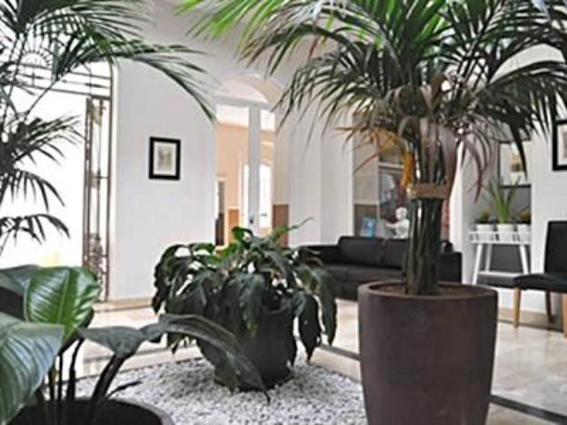 hotel convento tarifa