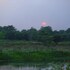 safari adventure lodge