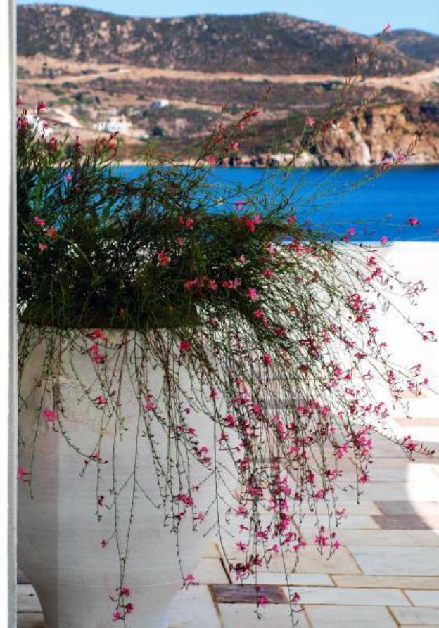 patmos paradise hotel