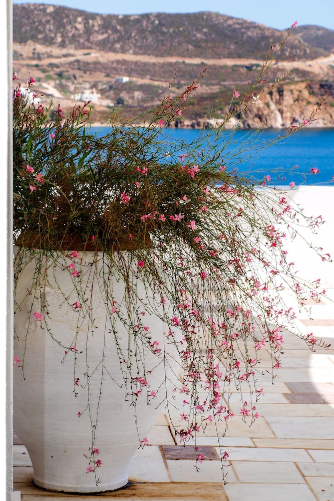 patmos paradise hotel