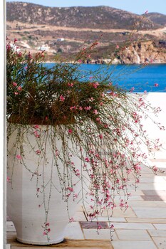 patmos paradise hotel
